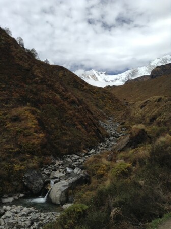 только вперед