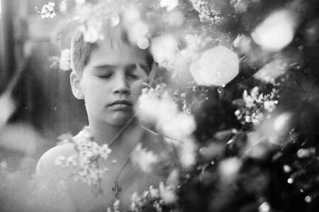 Ванькины сны