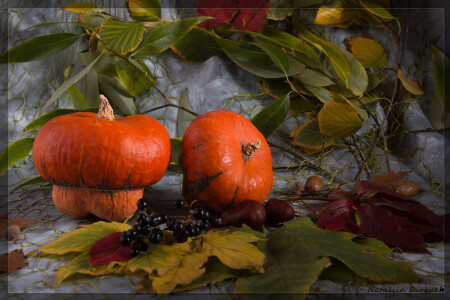 осенние мотивы