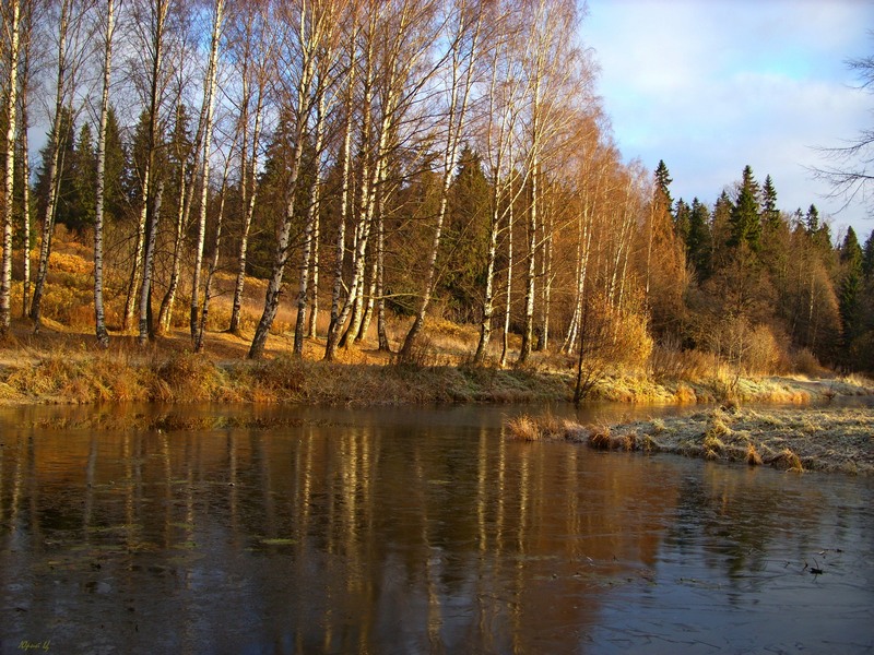 Перволедье