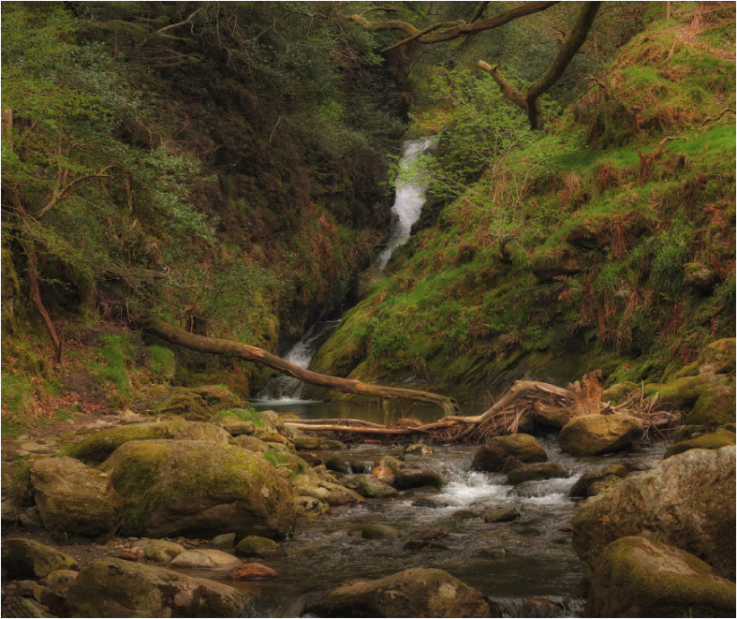 ...Glendalough Creeks...