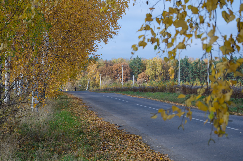  дорога в осень