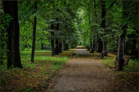 Прогулка в парке
