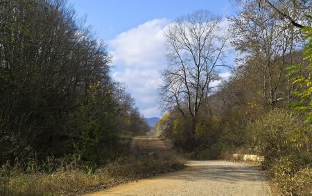 Осень