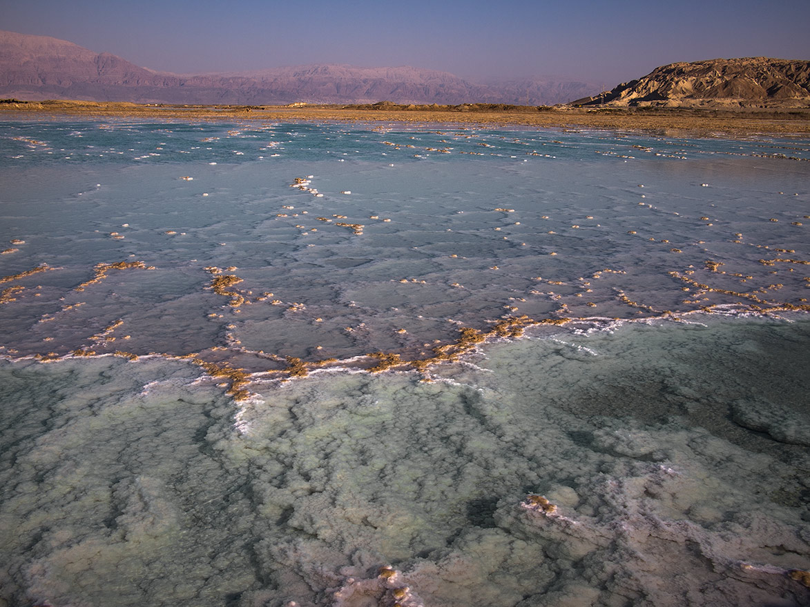 The Dead Sea