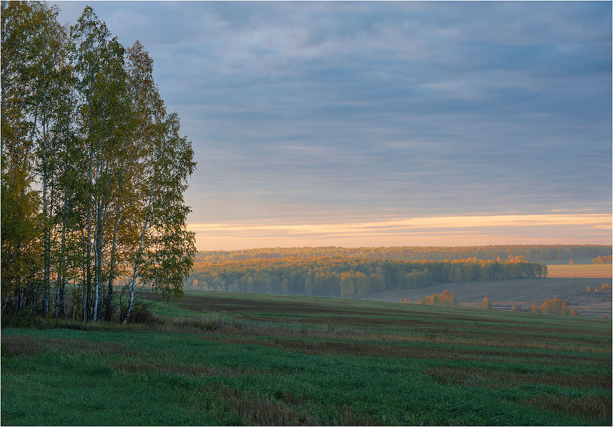 Золотая осень.