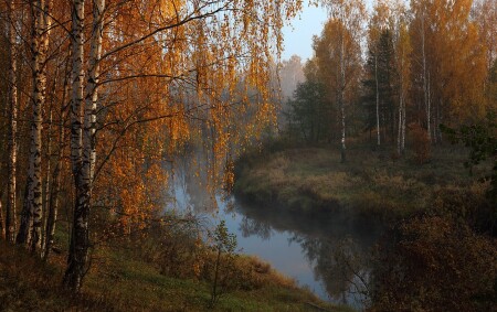 Роскошное утро