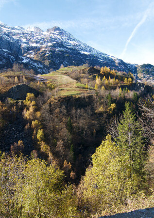 Осень в горах (2)