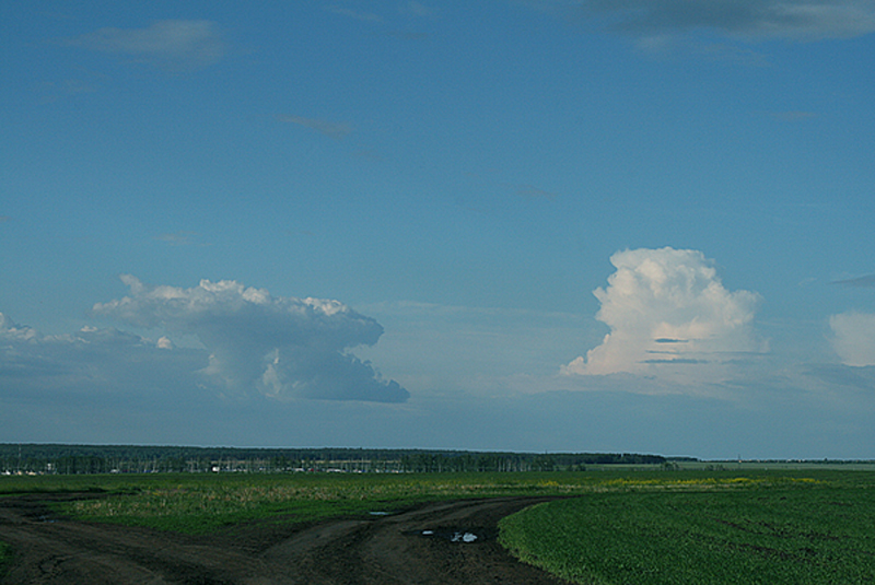 люди в облаках