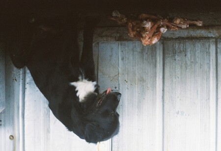 Вегетарианка