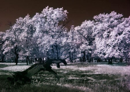 another world