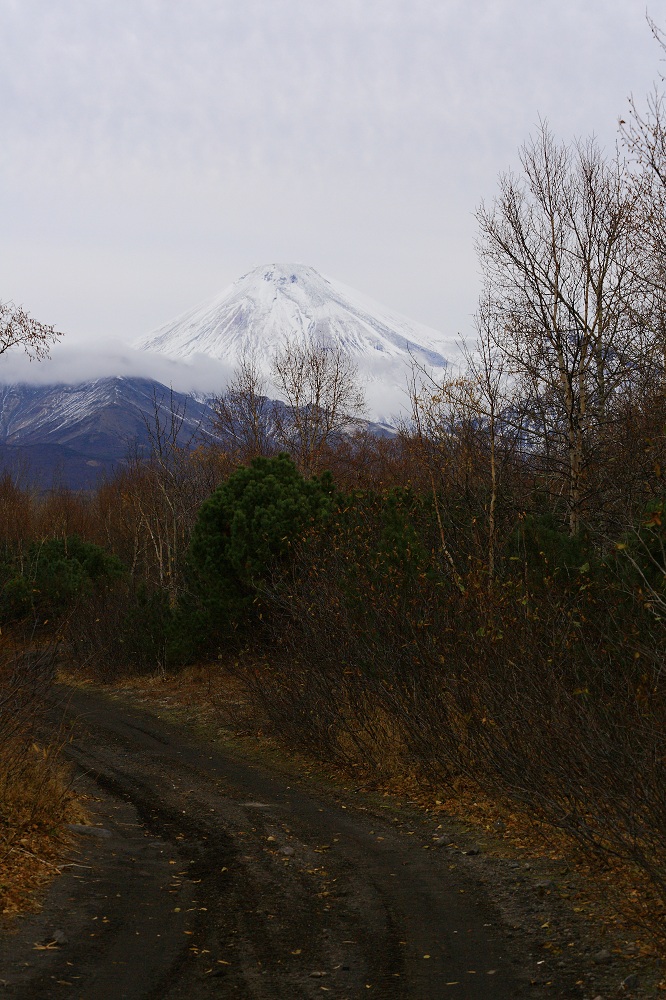 осень ноябрь