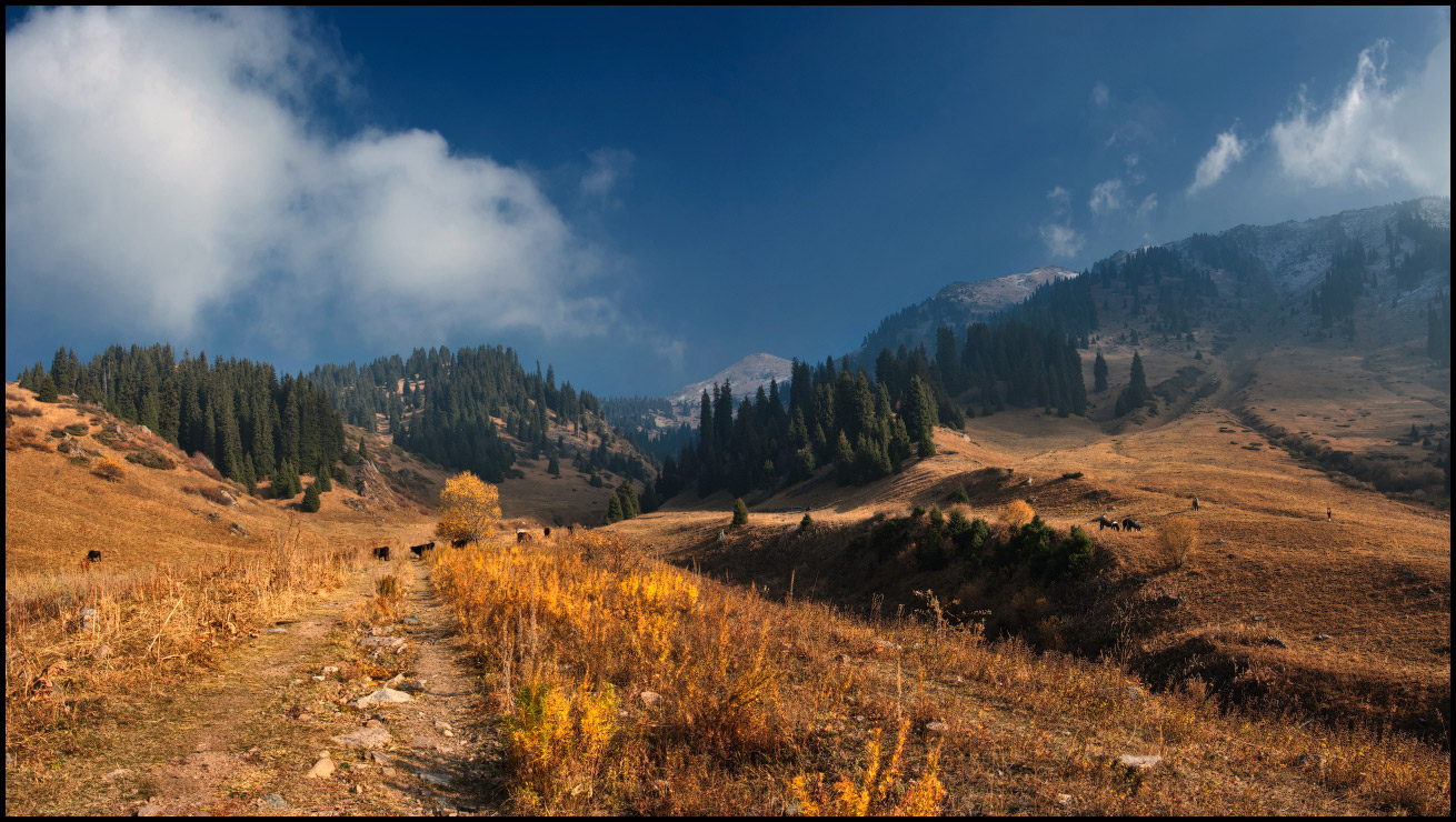 горная осень