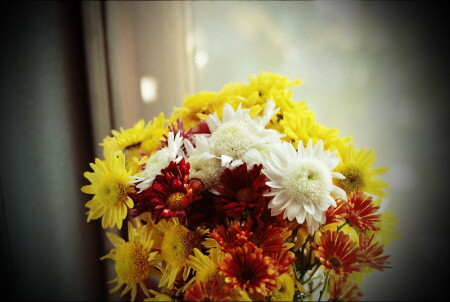 В осенних тонах..