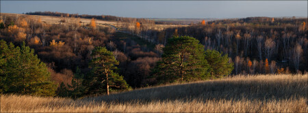 Панорама осени
