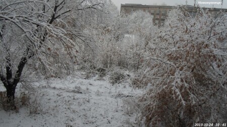 Первый снег.