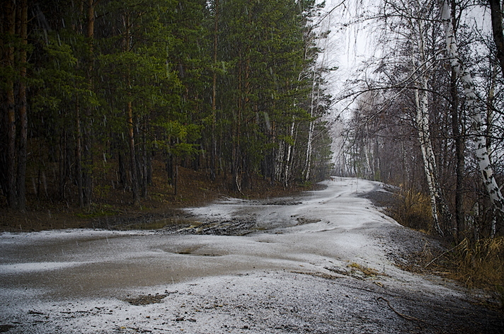 первый снег