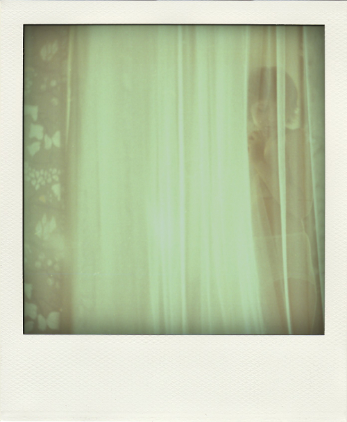 polaroid dreams