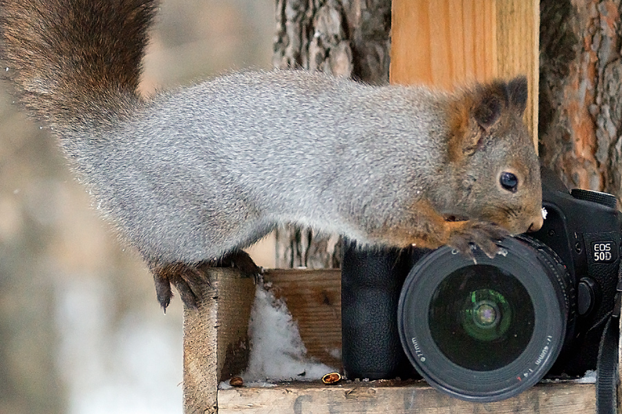 Диафрагму выставил! Начинаю фотосессию:)