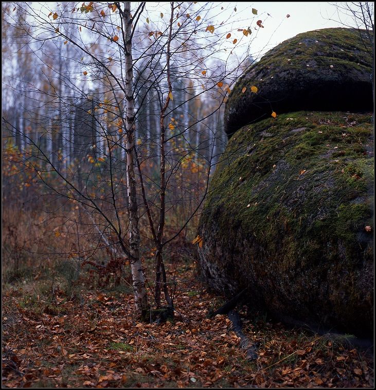 Каменное село