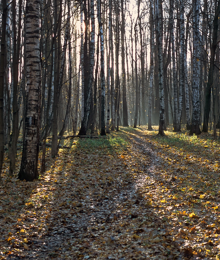 Осень в парке