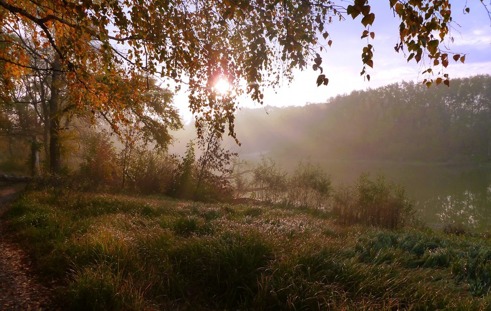 ранкова