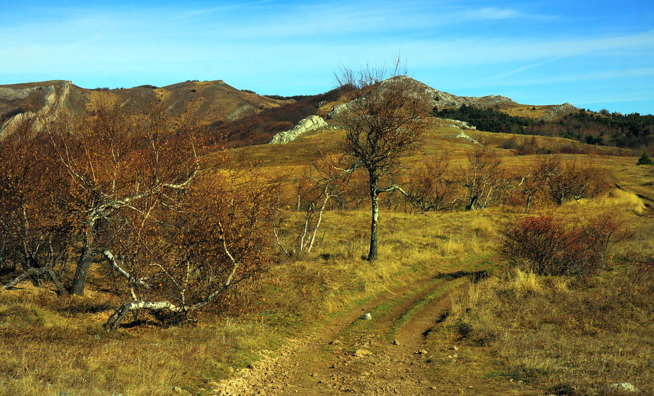 Осеннее плато