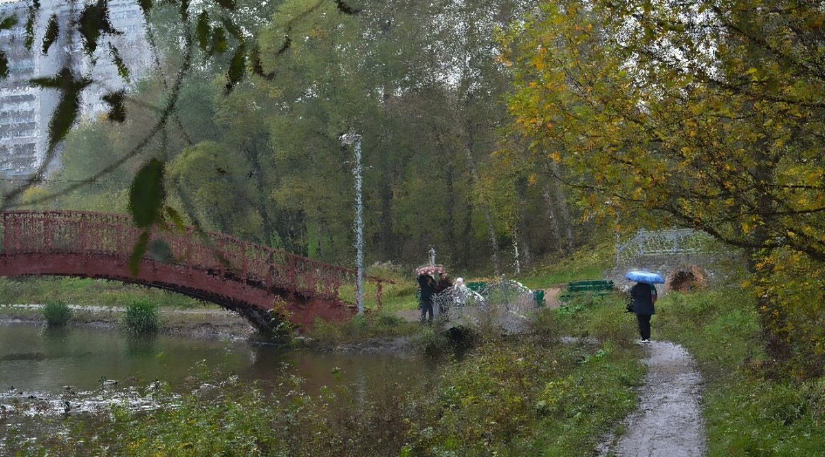 осень в свиблово