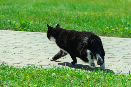 Возвращение домой.