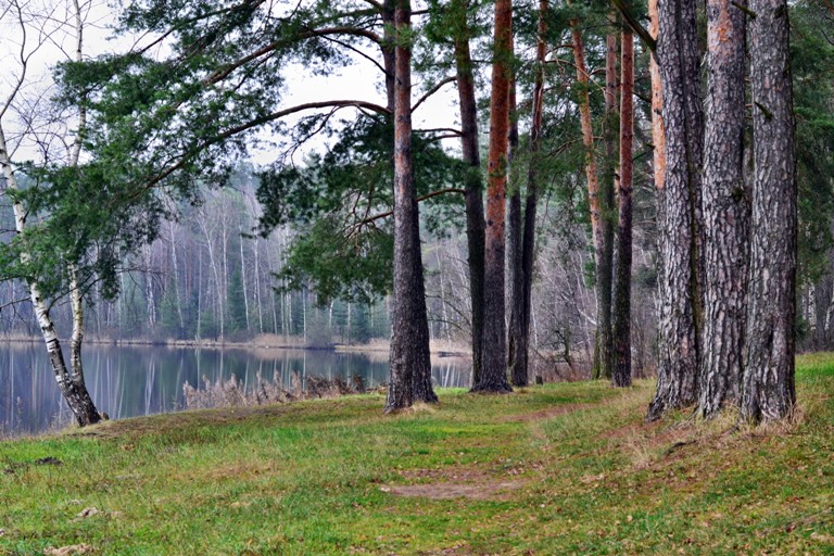 у лукового озера