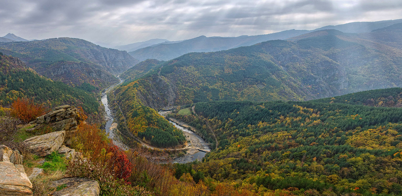 Autumn impression