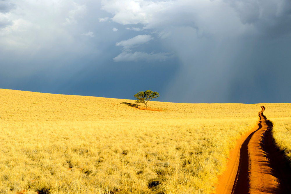 Kalahari desert