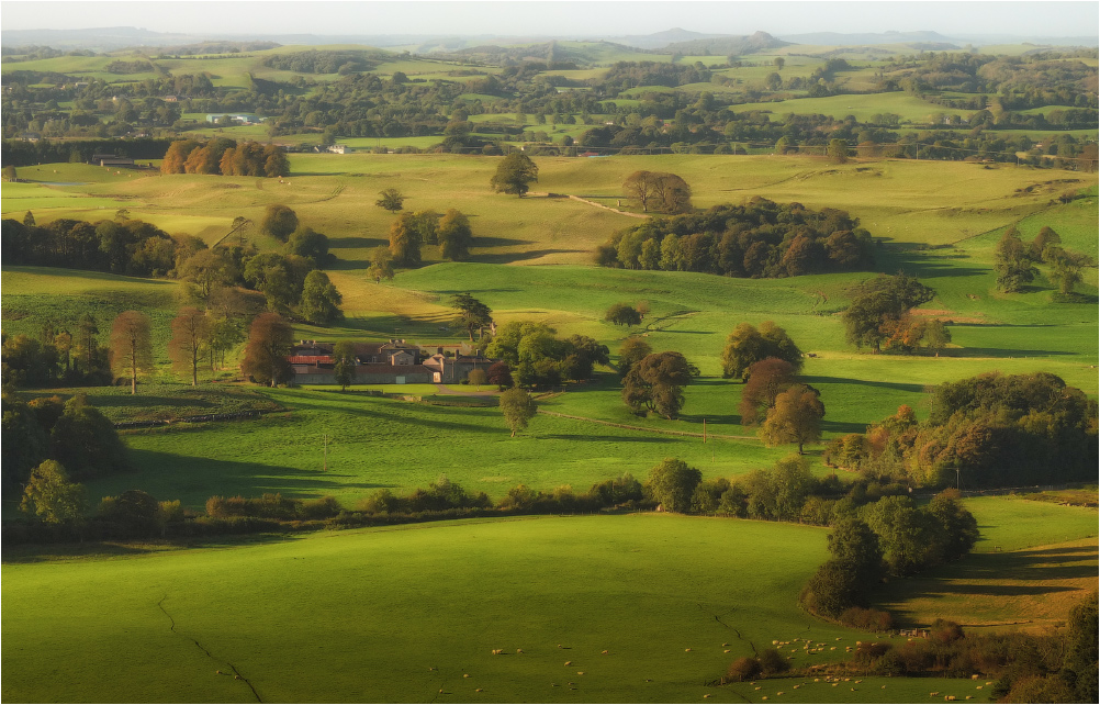 ...Loughcrew Gardens...