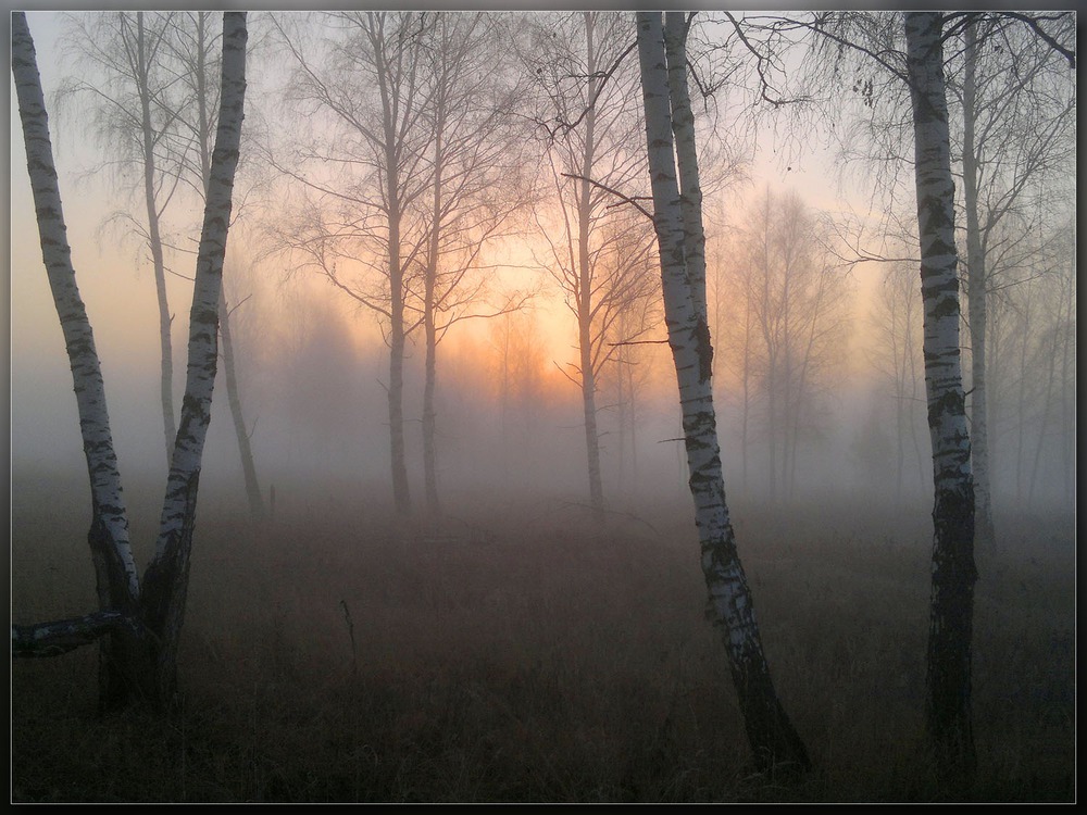 Утро ноябрьское ..