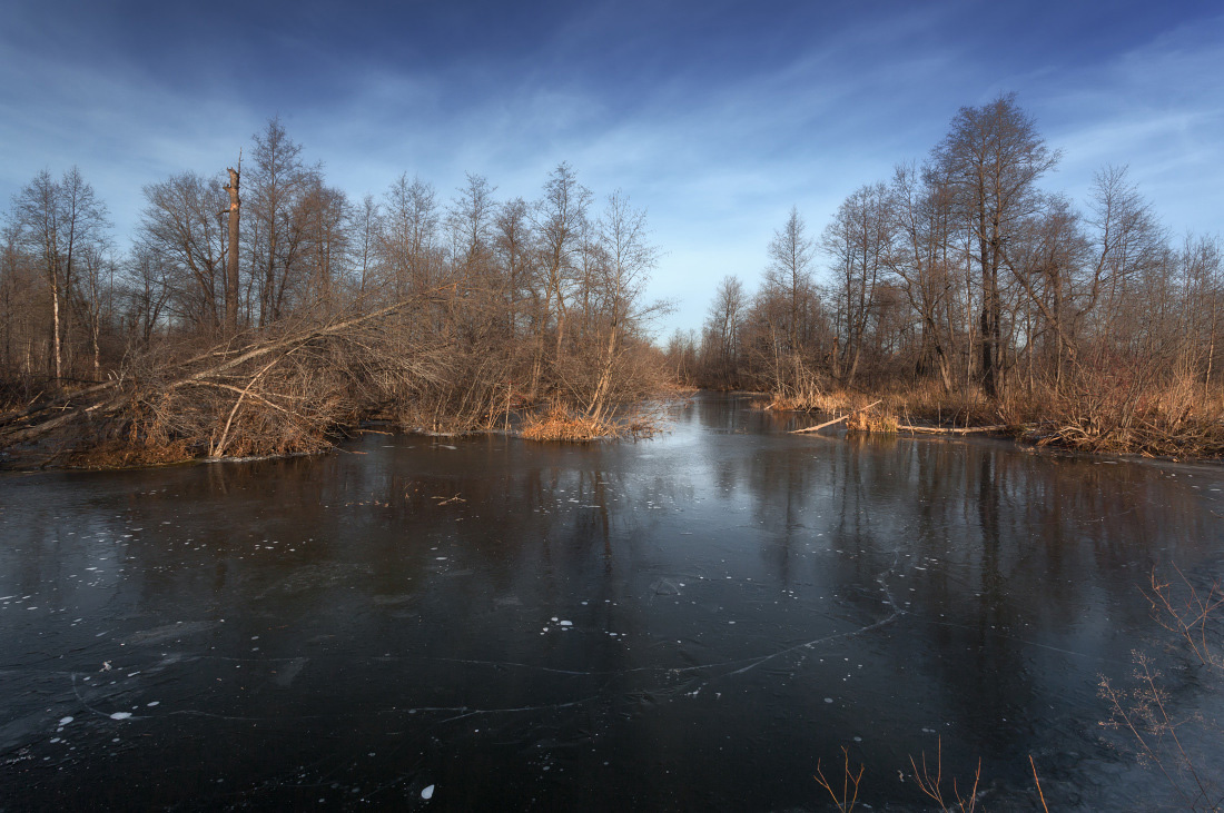 Замороженные отражения