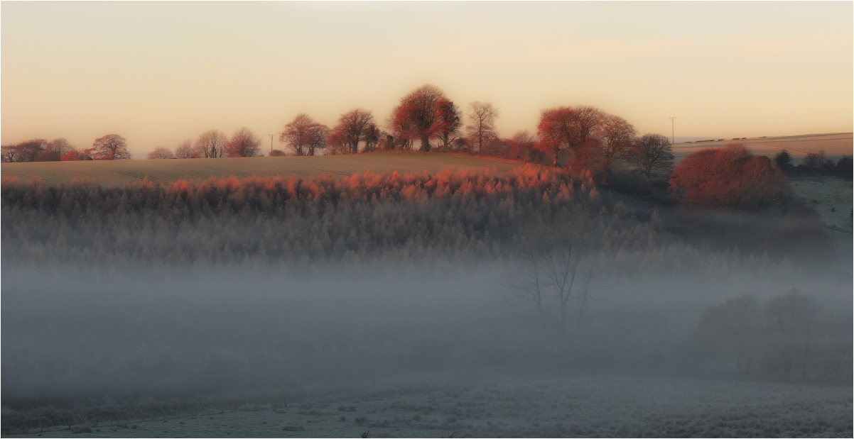 ...Frosty Mist...