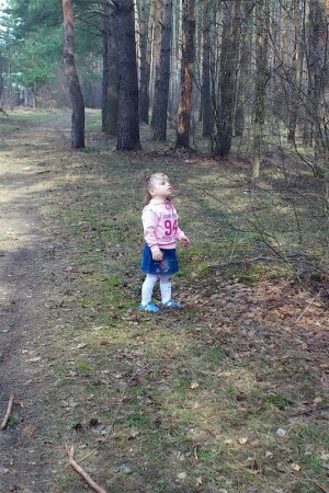 На прогулке