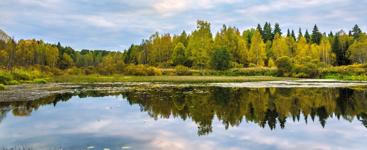 Осенняя панорама