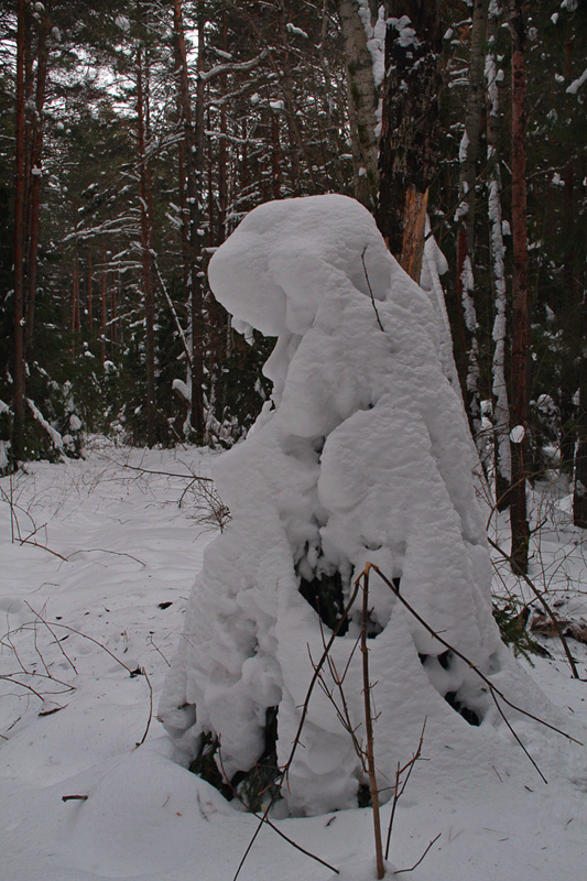 снежные скульптуры