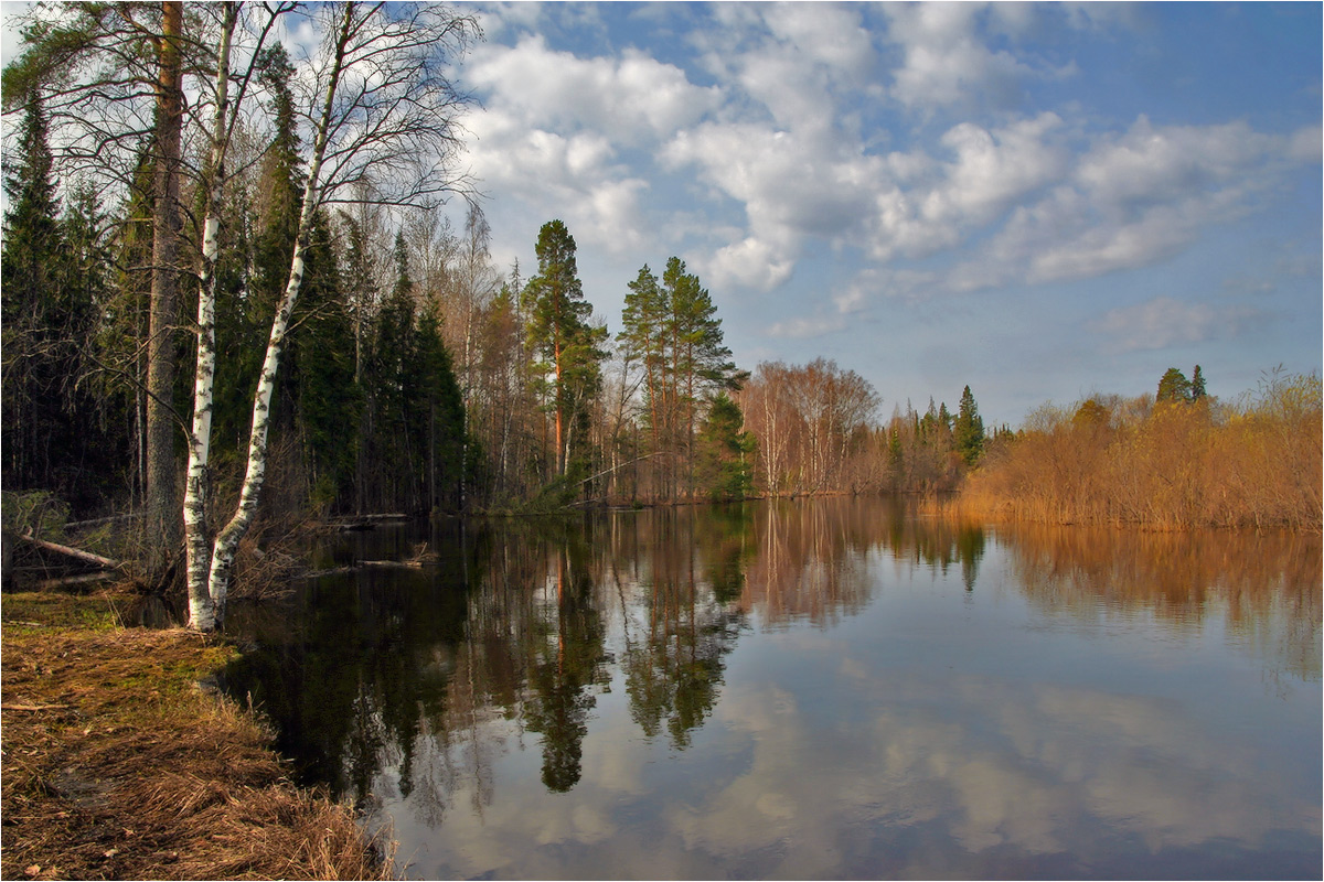 Осенний этюд