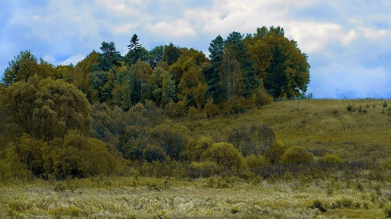 Косогор