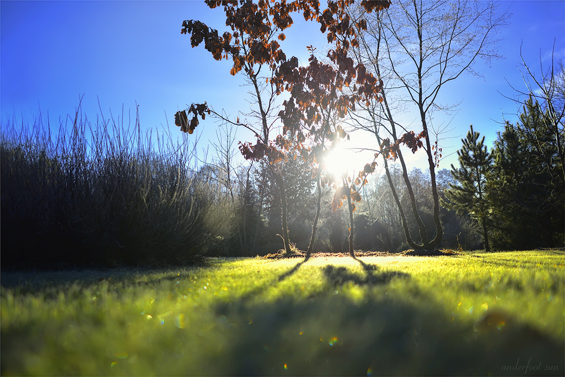 underfoot sun