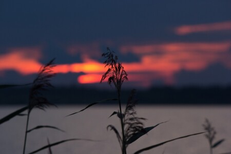 Одиночество