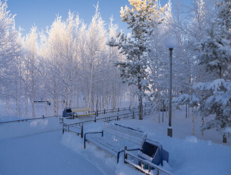 Зимний парк