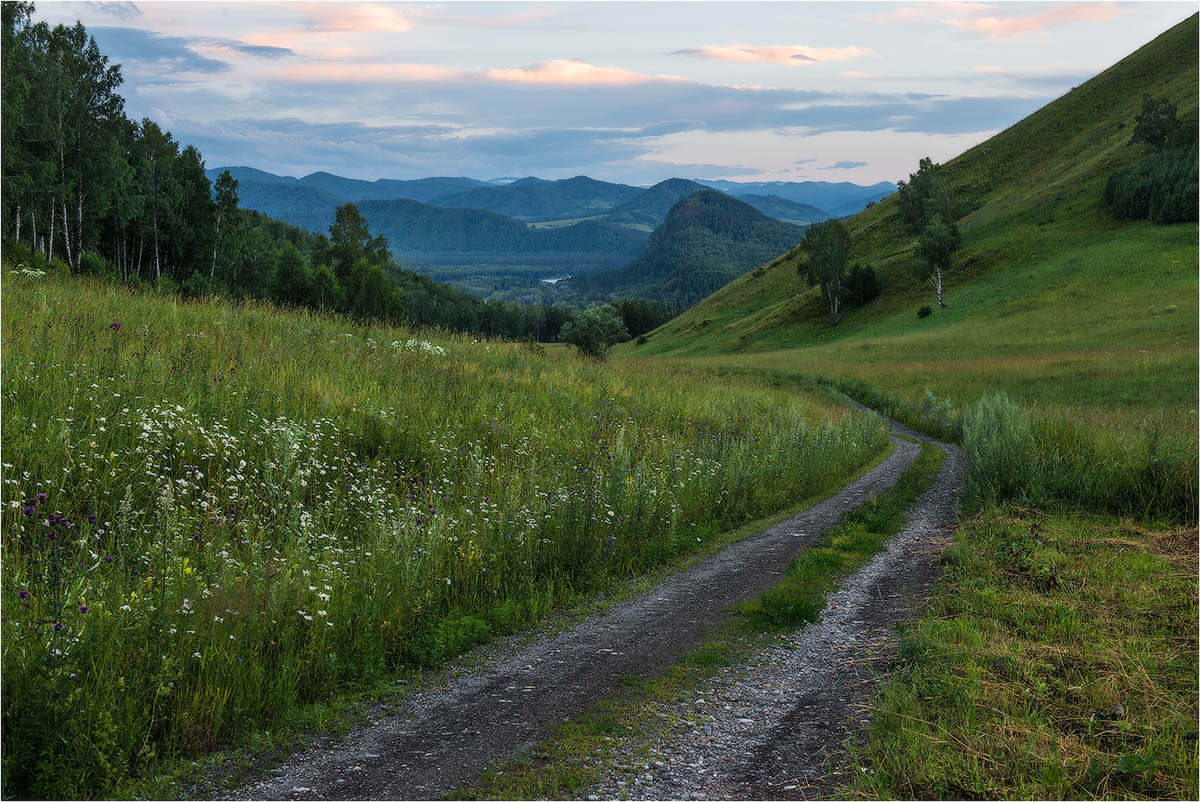 Сумерки