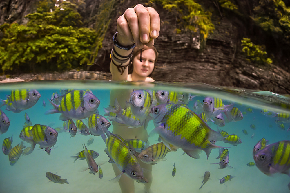 Dinner with fish.