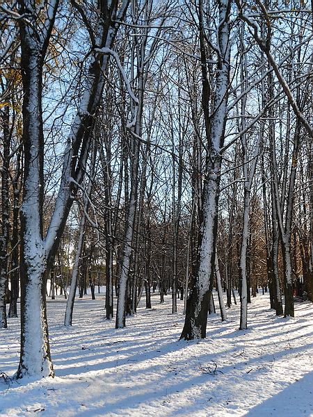 С Новым серебристым годом