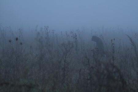 horror