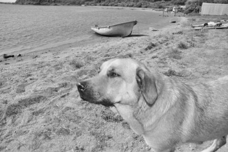 попрошайка на пляже