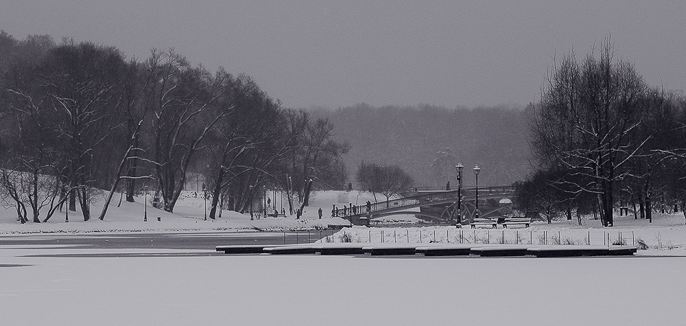 Winter ponds